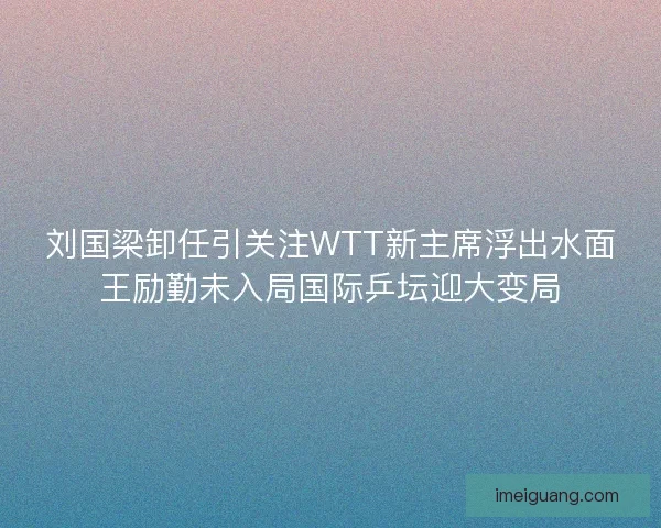 刘国梁卸任引关注WTT新主席浮出水面王励勤未入局国际乒坛迎大变局
